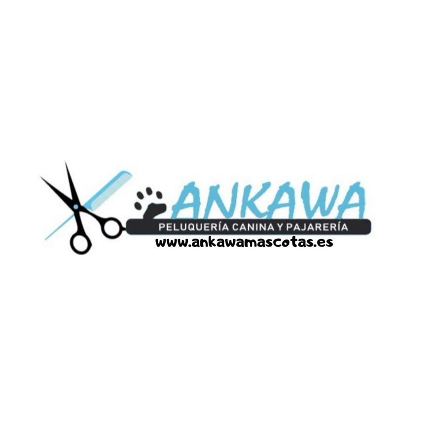 Ankawa