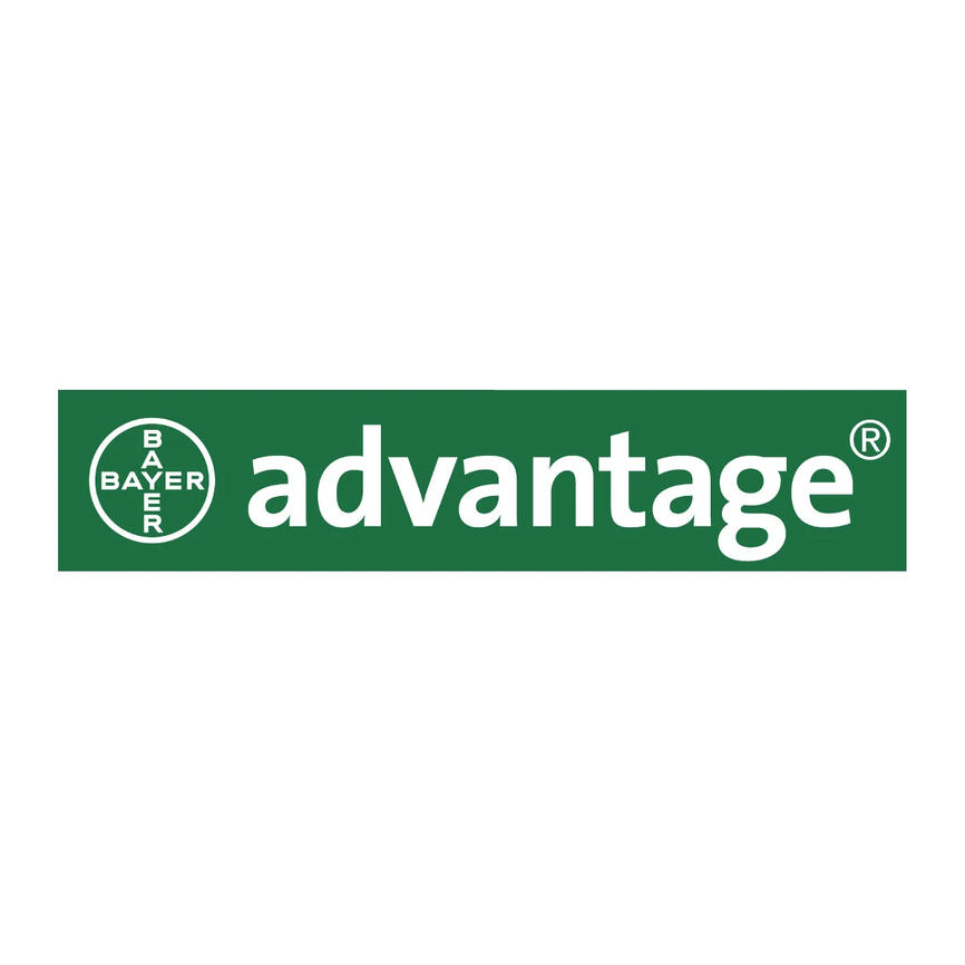 Advantage