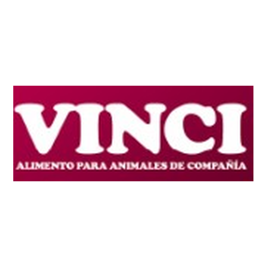 Vinci